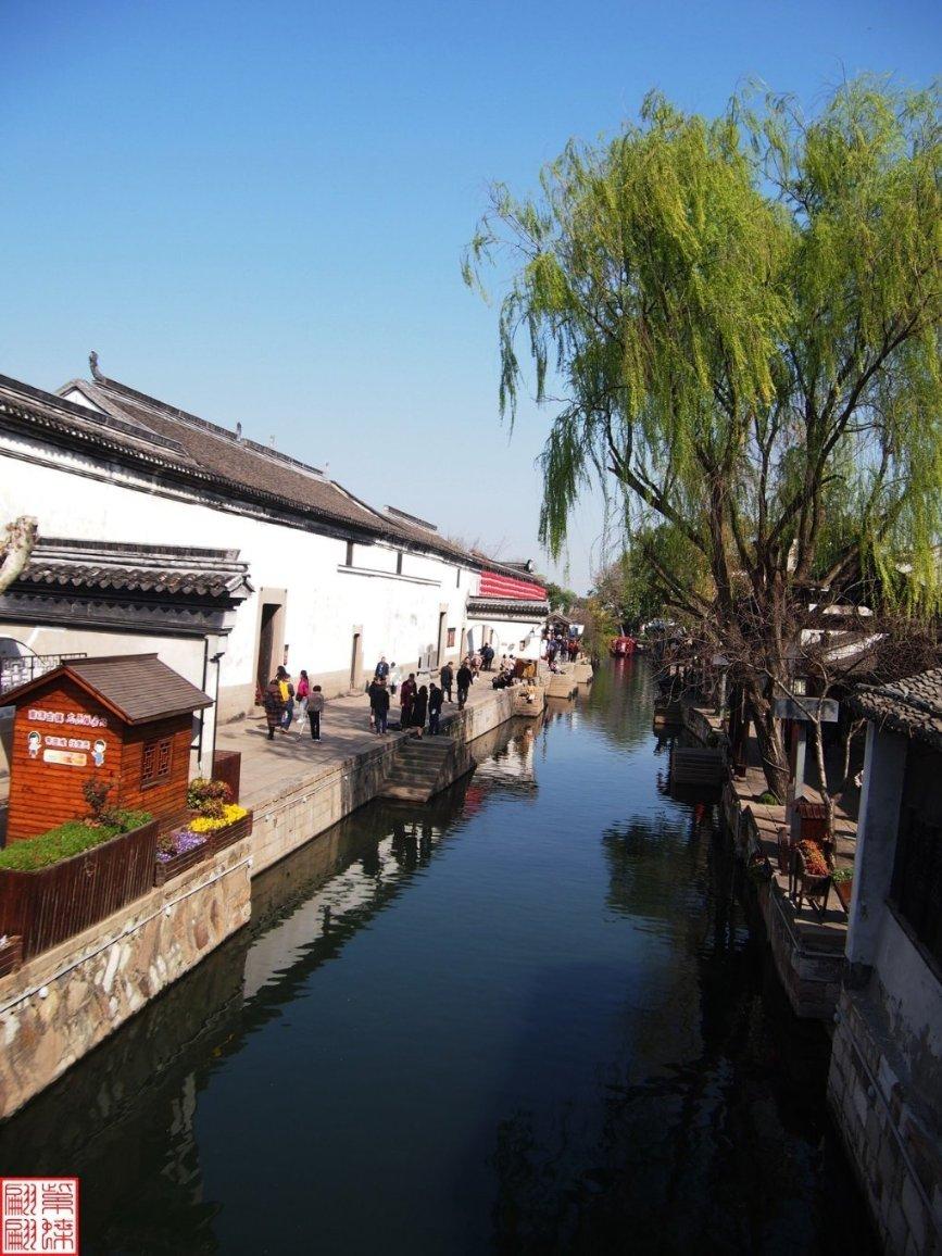 探索奇闻小说趣事,精彩冷知识尽在炖黄芪党参杜仲鸽子汤,出锅前十分钟放枸杞好还是枸杞单独泡水喝最好?!